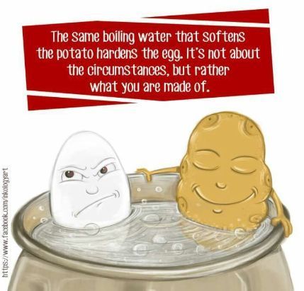 CITOnline's tweet photo. How do you stay healthy while navigating culture stress? 
#cultureshock #training #CIT #egg #potatoe https://t.co/iSz7hVXyZW