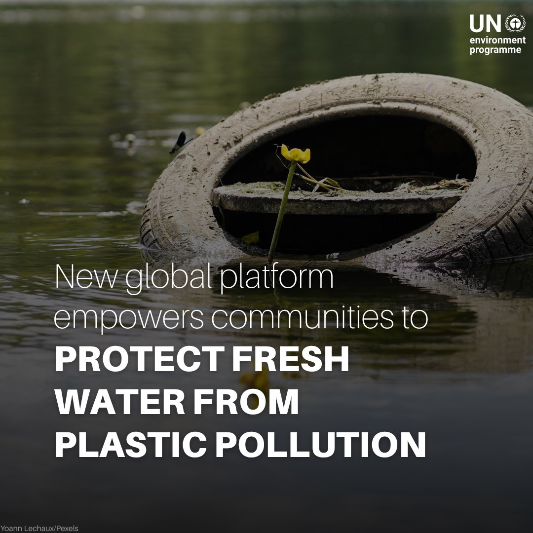UN Environment Programme (@unep) on Twitter photo Plastic pollution threatens freshwater ecosystems around the world.
Led by <a href="/Rotary/">Rotary International</a> and developed with UNEP support, a new platform empowers citizen-led action to restore rivers, lakes and wetlands and #BeatPlasticPollution.
🔗 unep.org/technical-high… Plastic pollution threatens freshwater ecosystems around the world.
Led by <a href="/Rotary/">Rotary International</a> and developed with UNEP support, a new platform empowers citizen-led action to restore rivers, lakes and wetlands and #BeatPlasticPollution.
🔗 unep.org/technical-high…