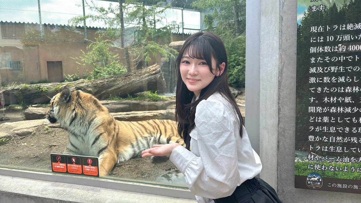 minicha_anzu's tweet photo. みんな1日お疲れー！

今日雨すごかったね☔
あのね、湿気疲れってあるんだって。
だから今日1日乗り切れたら1000点なんよね〜✰

まぁ負けずミニワチャは今日も激踊ってました🕺
ﾀﾞﾝｼﾝｸﾞﾀﾞﾝｼﾝｸﾞ~♪♪♪

そして下に見えて参りますのがずっと前に行った那須動物王国🐯ｶﾞｵｵﾝ https://t.co/VEDE2ivrFf