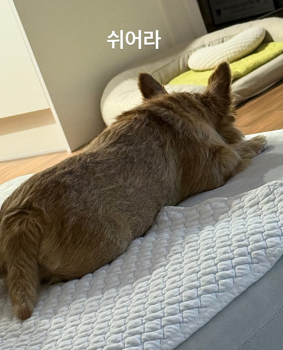 라떼야아아아ㅏ아아아ㅏ아ㅏㅇ