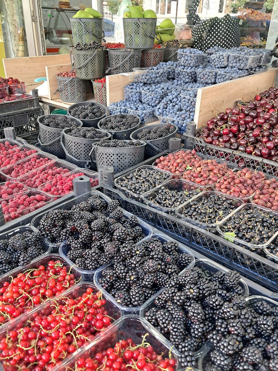 【お知らせ】ジョージア西部、ベリー天国に突入