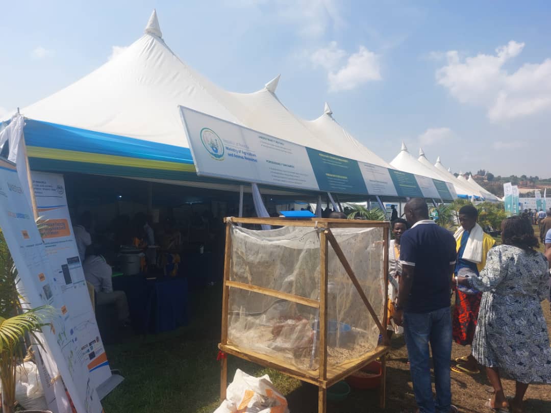 nyabpass's tweet photo. So far, over 100 visitors have shown keen interest in adopting BSF larvae farming and IoT devices to enhance their livestock operations. This enthusiasm reflects a growing commitment to climate-smart agriculture and circular economy practices in Rwanda. @icipe @NestlerProject https://t.co/bpuwTTiEFb