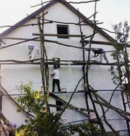 Αν υπάρχουν δέντρα κοντά στην οικοδομή ο Νώντας δεν χρειάζεται σκαλωσιά 😋