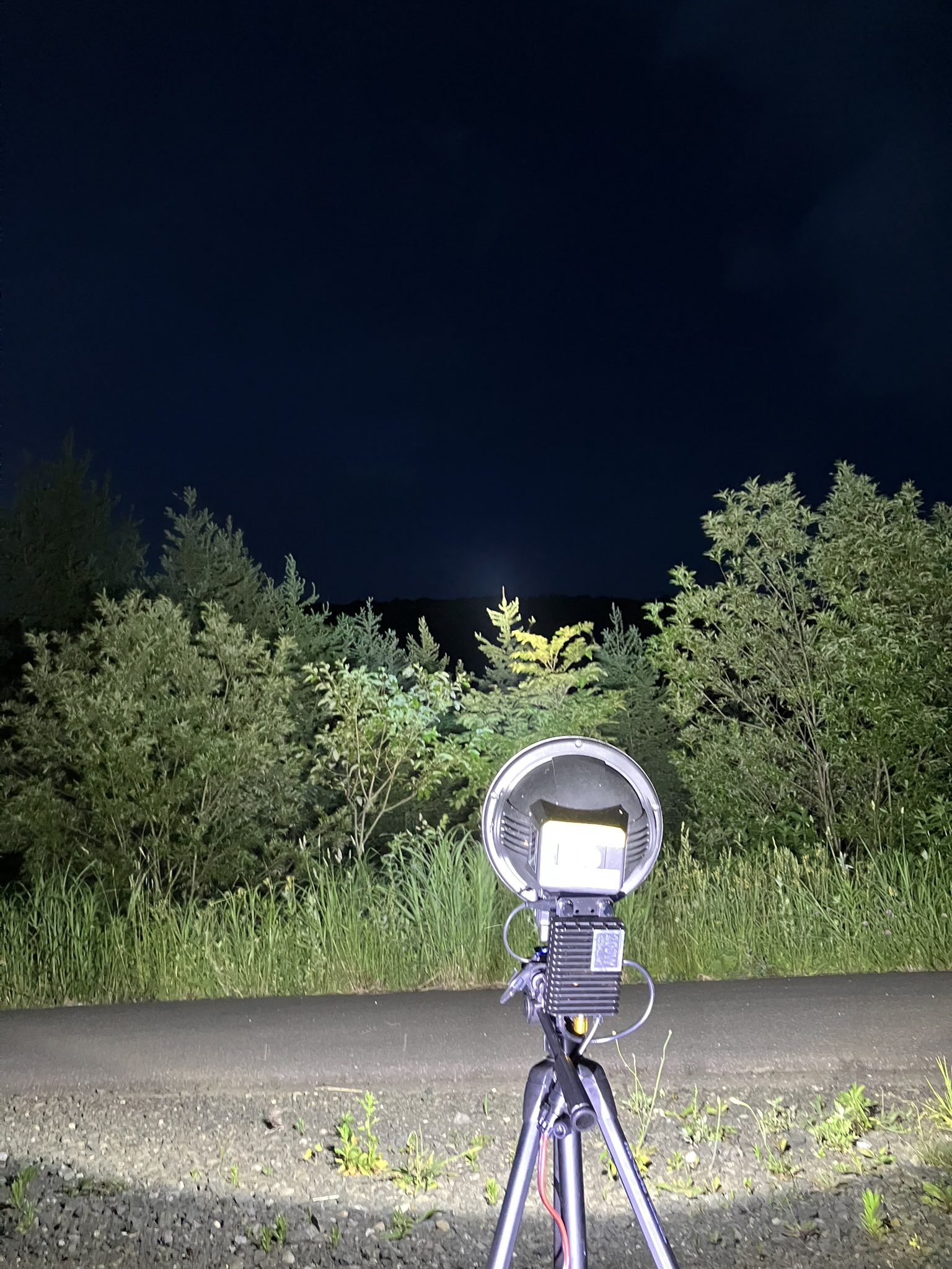 灯火採集セット HIDライト 今峰ライト Homdox