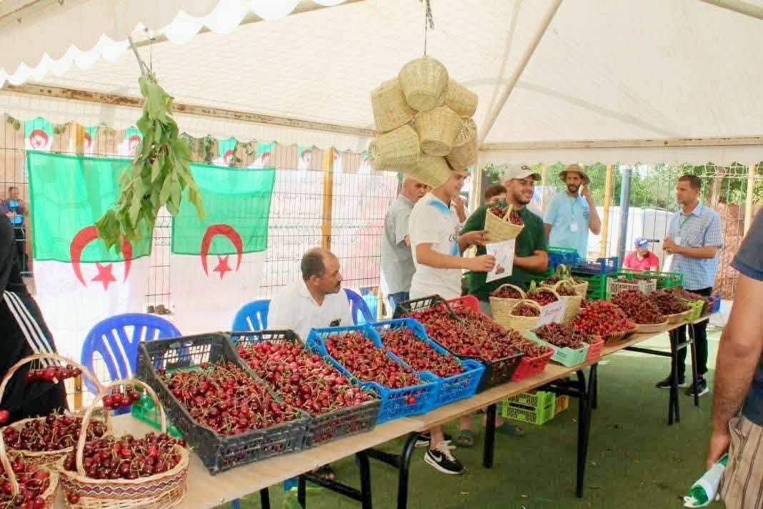 Ialgeria3's tweet photo. #مهرجان الكرز 🍒قرية بني غزلي تلمسان❤️🇩🇿 #الجزائر https://t.co/022L5ljE8b