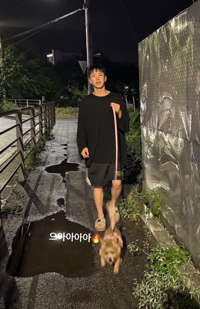 나 이 남매가 너무너무 좋다.....