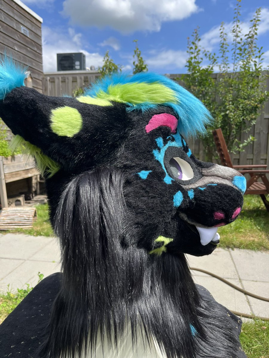 WeMightBite's tweet image. Can you believe this is the same fursuit head? This was a master refurb job! My first ever commission from more than 13 years ago! The only thing I barely changed are the ears and the hairdo.
