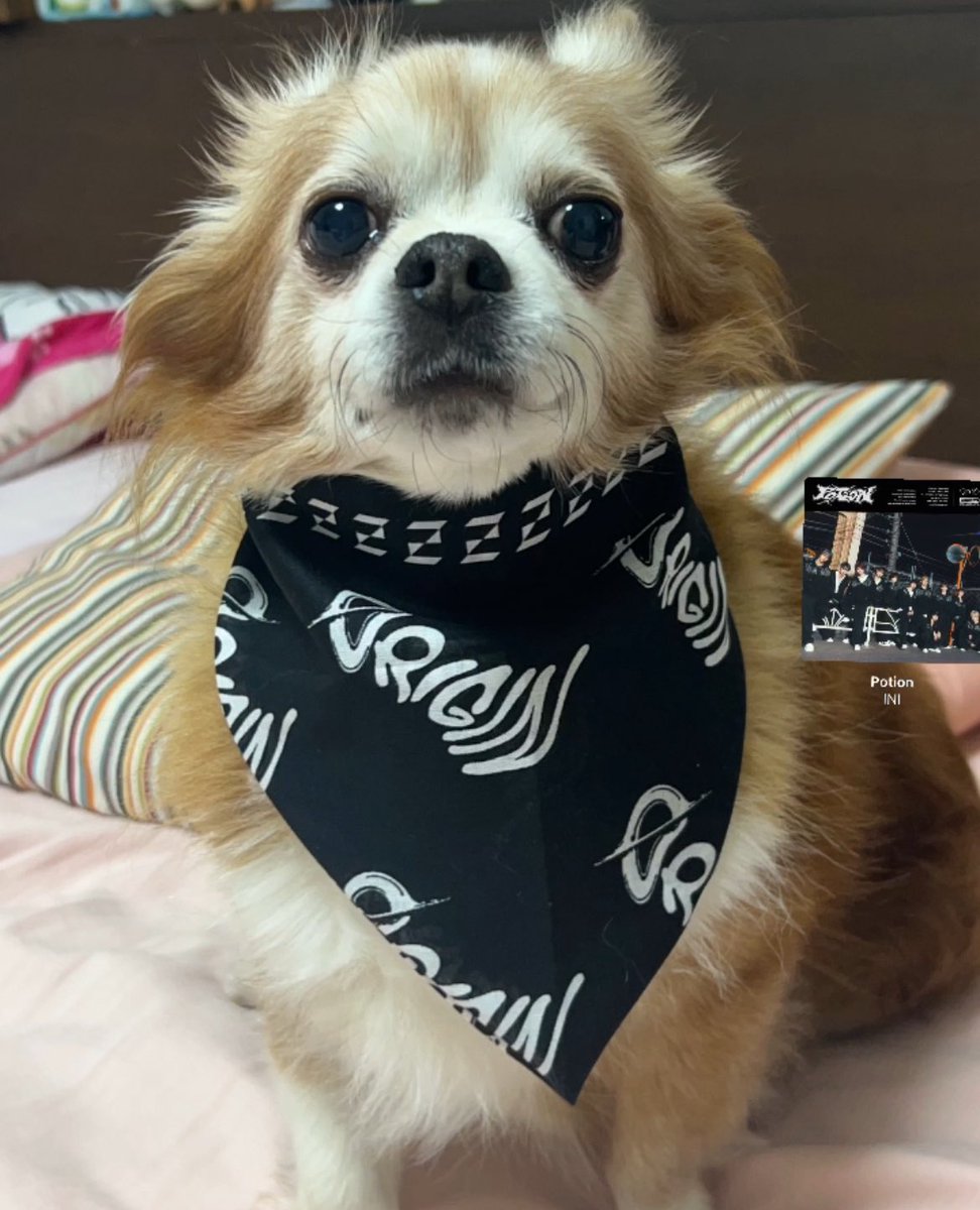 はちみつレモン tweet media