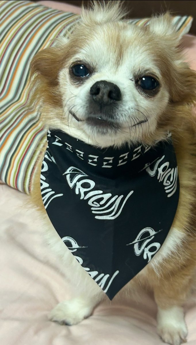 はちみつレモン tweet media