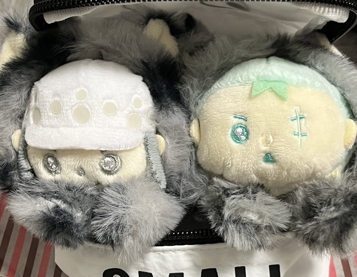 🐯ちゃんよりも大きめかも！