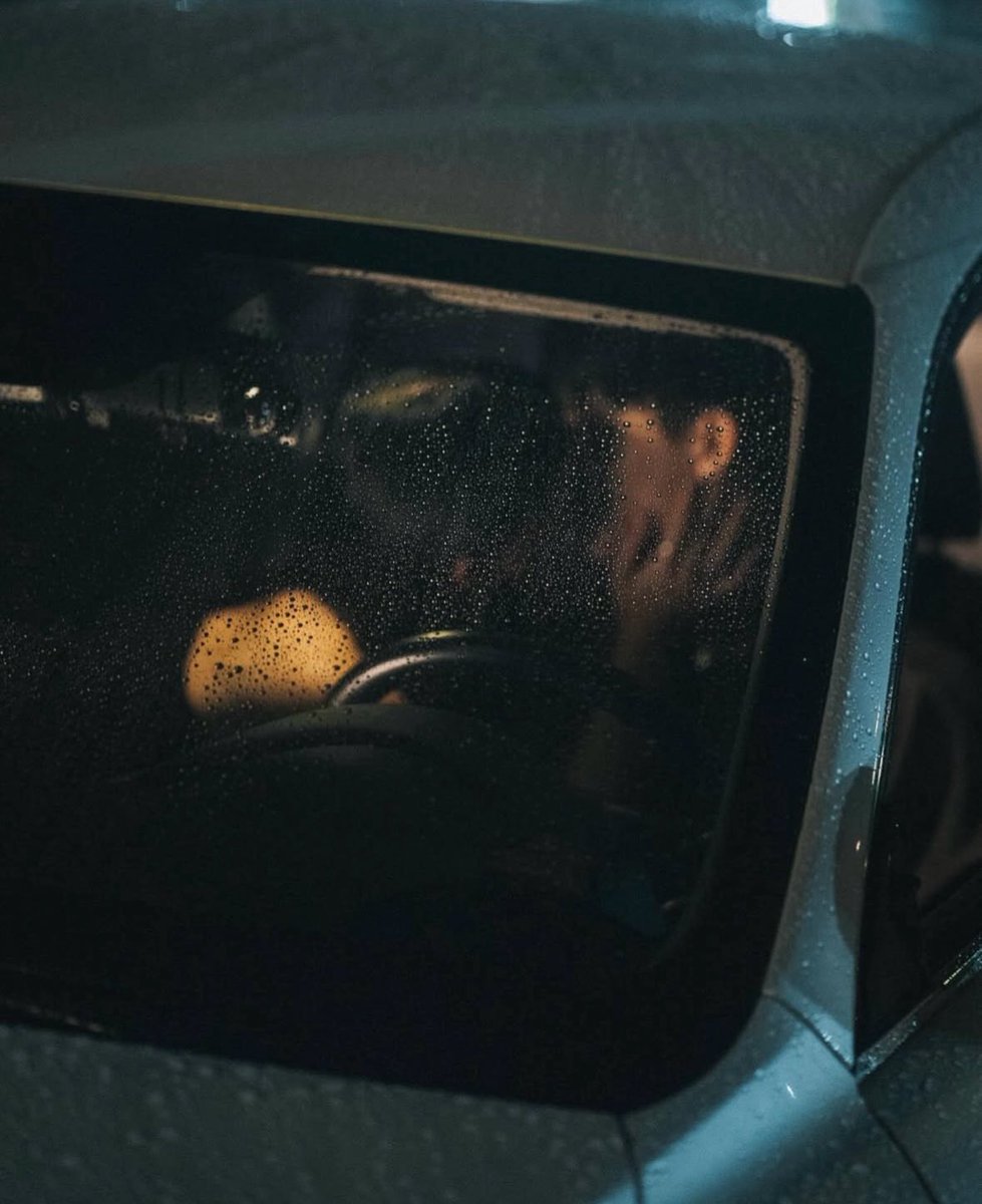 sleeping bear tweet media