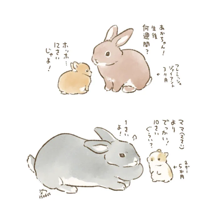 🐰大うさと小うさ 