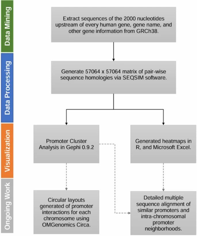 jsantoyo's tweet photo. SEQSIM: A novel bioinformatics tool for comparisons of promoter regions—a case study of calcium binding protein spermatid associated 1 (CABS1). #PromoterRegions #DNAbindingProteins #GeneRegulation #Bioinformatics #Genomics #BMCbioinformatics
https://t.co/Ogo1tfNvdo https://t.co/EIPClbr4gd