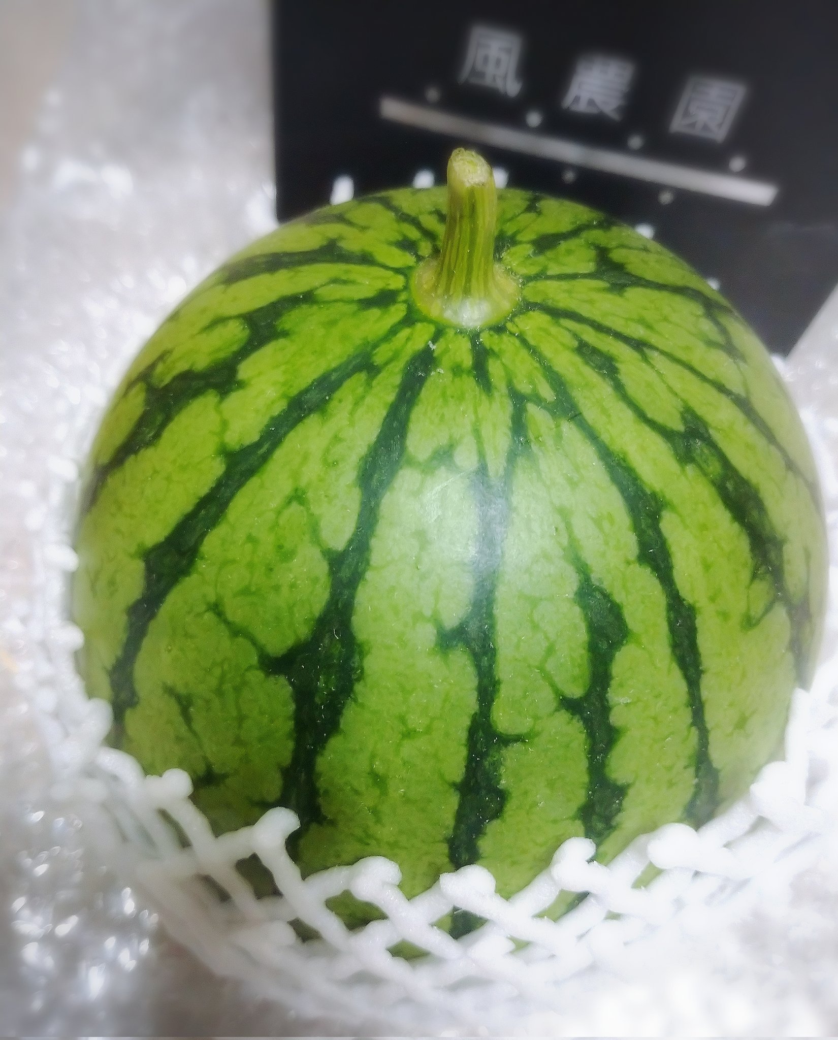 ☆SOLD！#achi⭐︎プロフ必読⭐︎お得多数⭐︎☆ご購入確定品！ I won the lottery for the Zero One Driver pre-sale. Is it a