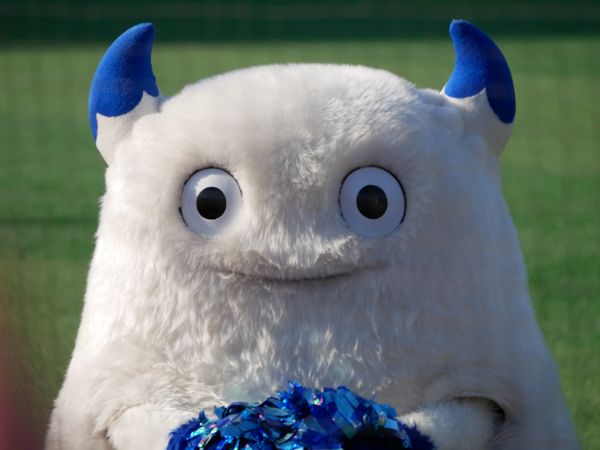 キララページ キララ - Search / X