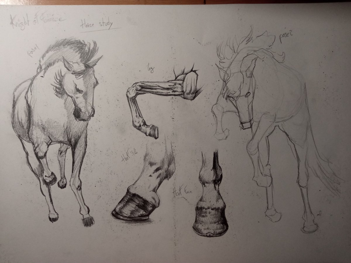 Cranium_Boy tweet media