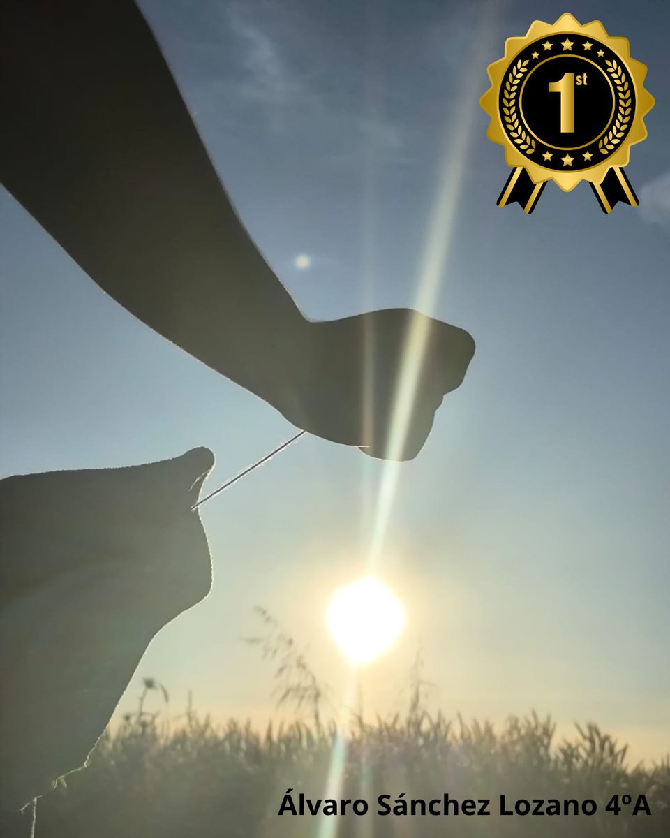 iesGermanSR's tweet photo. Ya tenemos ganadores del concurso de fotografía “Letras Vivas”. ¡Enhorabuena a los premiados! Podéis pasar a recoger el premio #aprenderhaciendo #PlanFomentoLecturaGSR #leer https://t.co/lmSBTt4hHe