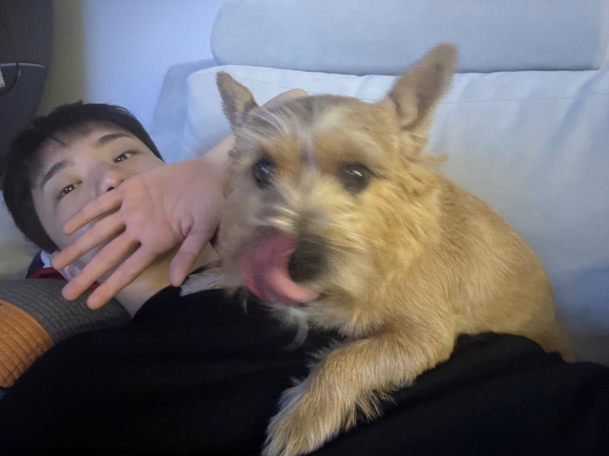 흐앙 라떼가 또 뽀뽀 퍼부었나바 얼굴 가리고 있어 ㅋㅋㅋㅋㅋㅋㅋㅋㅋㅋㅋ