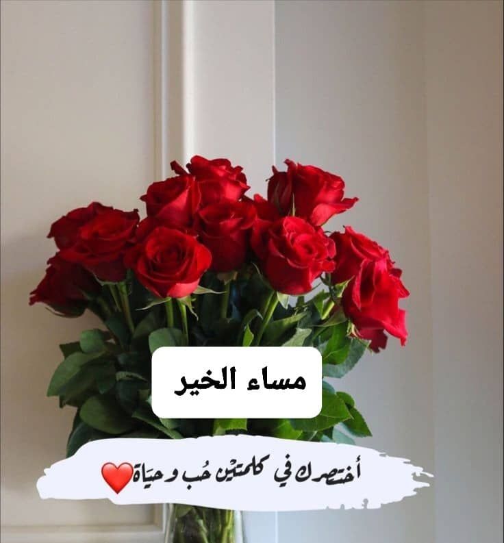 يحيى الملكي 💚💚 tweet media