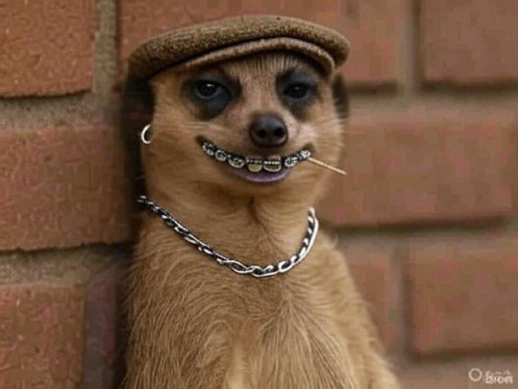 gchukwubuudom's tweet image. Me after bypassing middleman to collect payment from my Kenyan client with @useazza 🥶😂
#useazzacontest #useazza