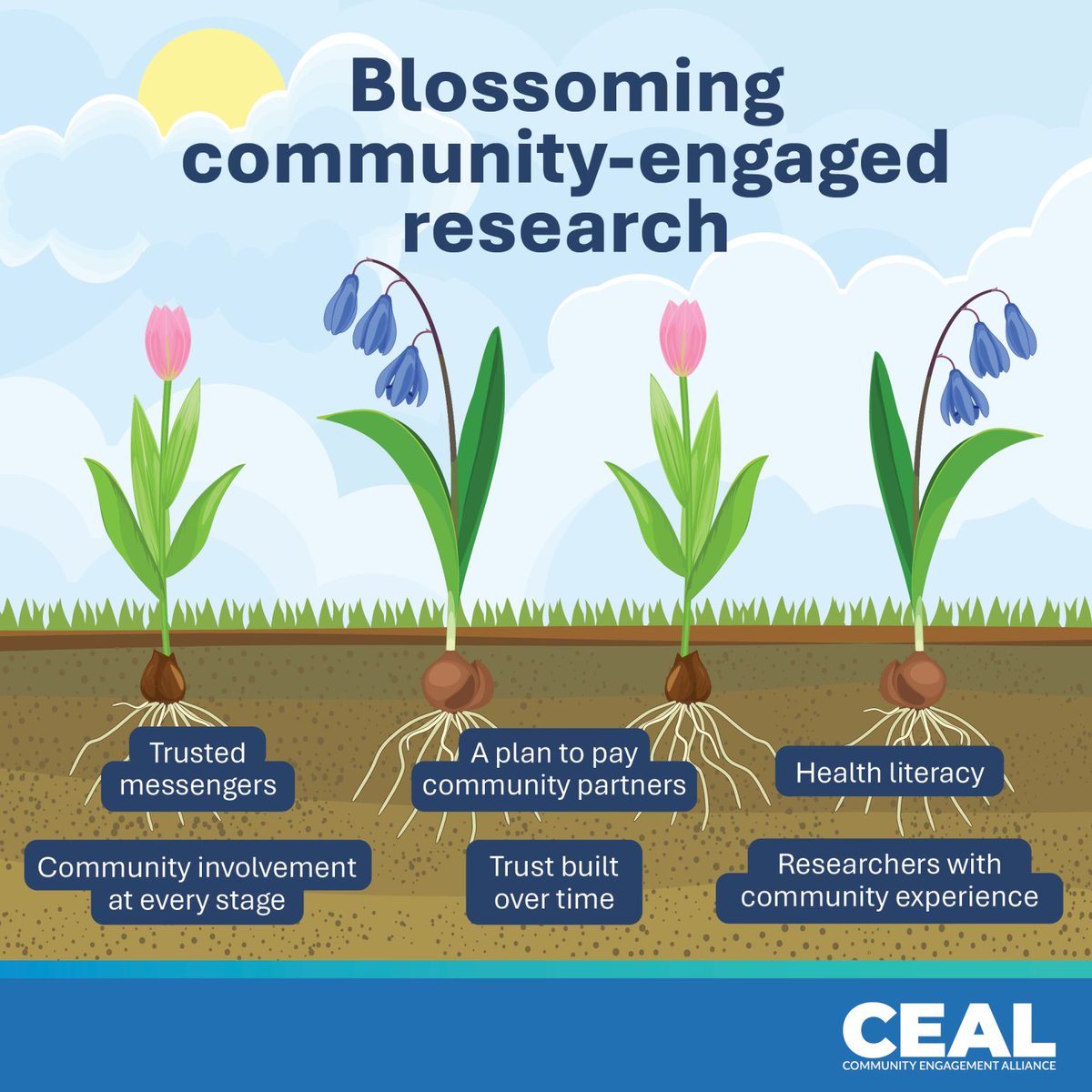 From CEAL: What does it take for community-engaged research to blossom? 
🌷Fair compensation for community partners
🌷Trust built over time
🌷Researchers with lived community experience

Let us know in the comments what you would add to their list!