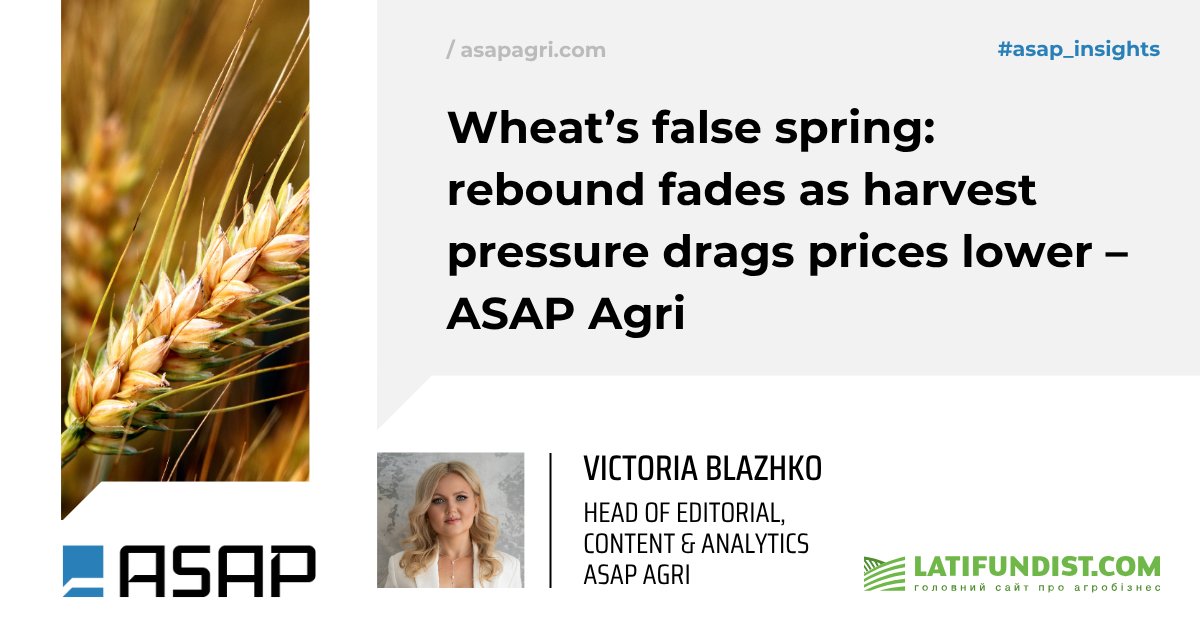 ASAP Agri Solutions (@asap_agri) on Twitter photo 🌾 Global Markets Fall, Ukrainian Wheat Prices Hold — But for How Long?
After a short-lived bounce, global wheat prices are once again trending lower — dragged down by harvest pressure, fading geopolitical risk, and heavy supply outlooks across key producers.
"The rally on 🌾 Global Markets Fall, Ukrainian Wheat Prices Hold — But for How Long?
After a short-lived bounce, global wheat prices are once again trending lower — dragged down by harvest pressure, fading geopolitical risk, and heavy supply outlooks across key producers.
"The rally on