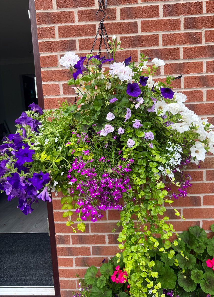 Dawn Williams tweet media