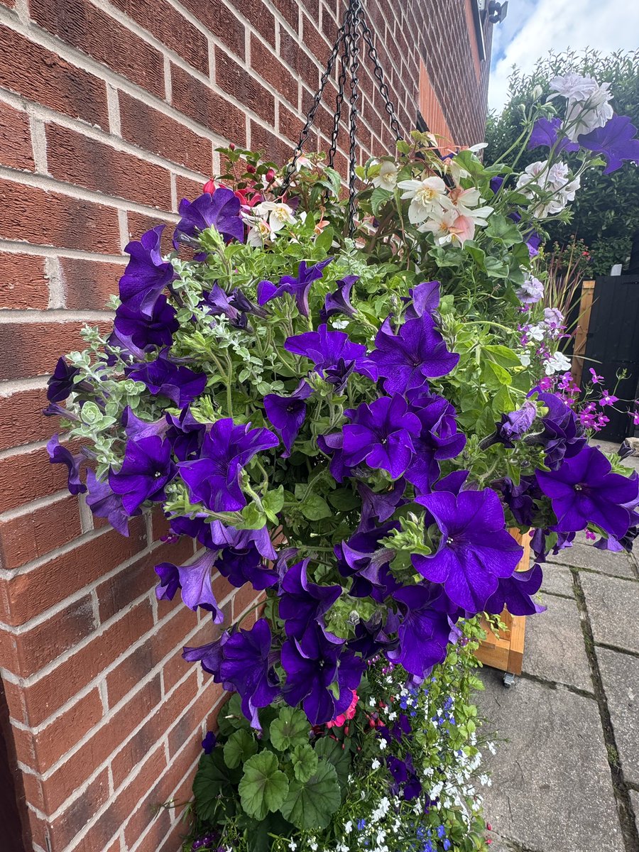 Dawn Williams tweet media