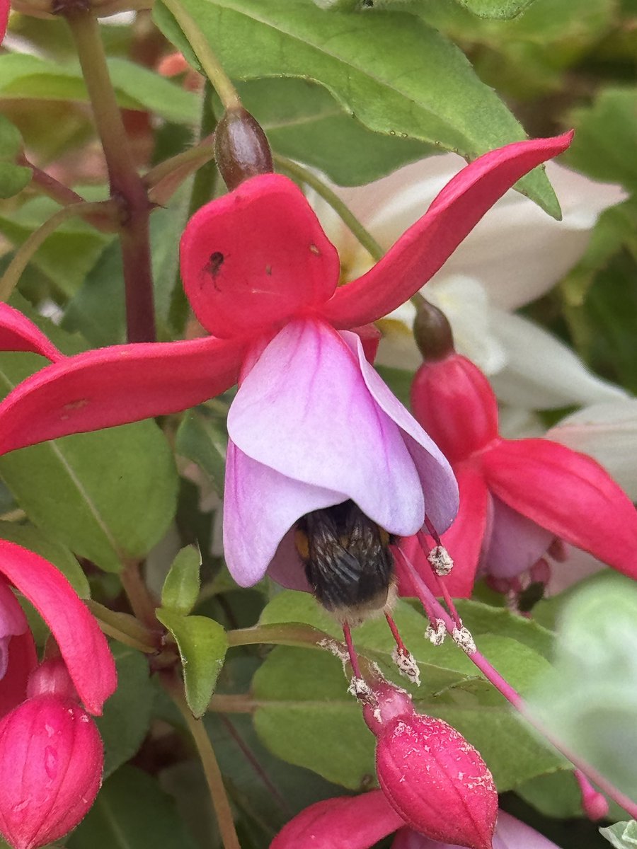 Dawn Williams tweet media