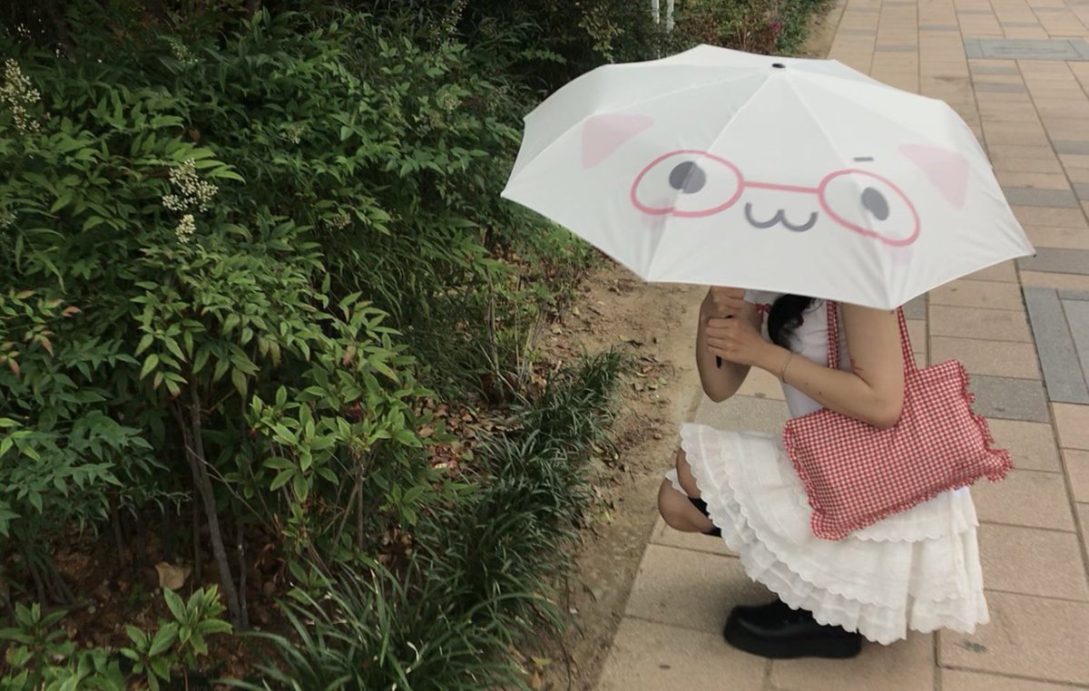 (｡･ω･) ☂︎ 히나쿠우 선주문 마켓을 진행합니다

#rt 한 분께 원하시는 상품을 보내 드려요

🗓️ 6月 26日 (목) 19:00 ~ 6月 29日 (일) 23:59

오마모리, 쿠션키링, 카라비너, 시계, 우산 등 새로운 상품들을 많이 준비해 보았어요 들러주시면 감사하겠습니다 ( _ _ )

🔗 witchform.com/payform/?uuid=…