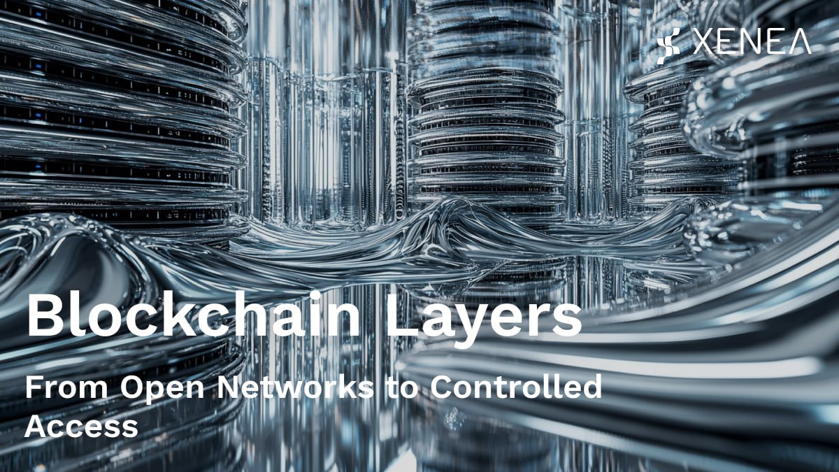 Blockchain isn’t one-size-fits-all. From open systems to controlled environments, understanding the 4 types of blockchain networks is key to building the future:

Public – Open to anyone (e.g., Bitcoin), but may sacrifice privacy and speed.

Private – Controlled by one entity;