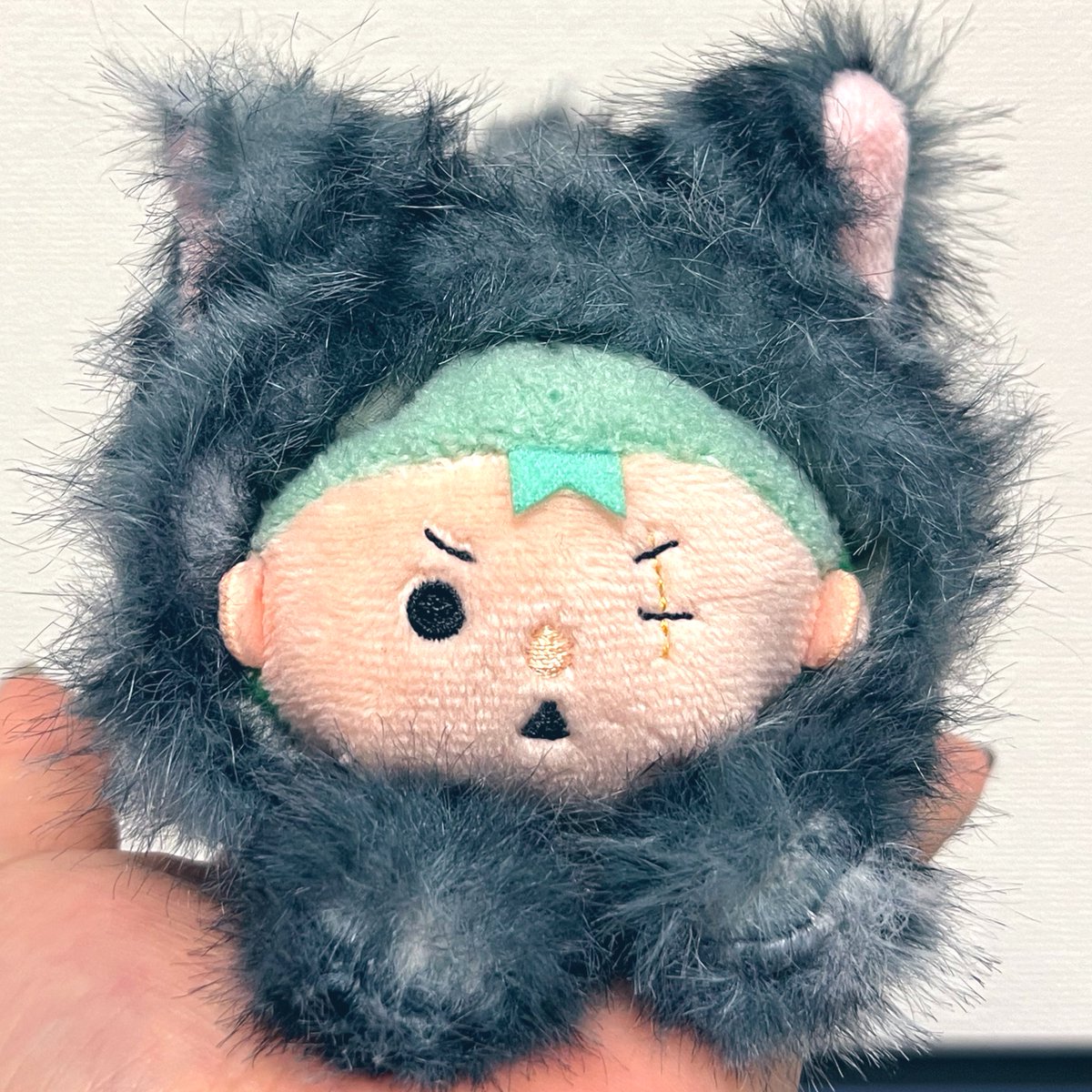 🐈にされて解せぬ顔のむぎ（可愛いだけ）