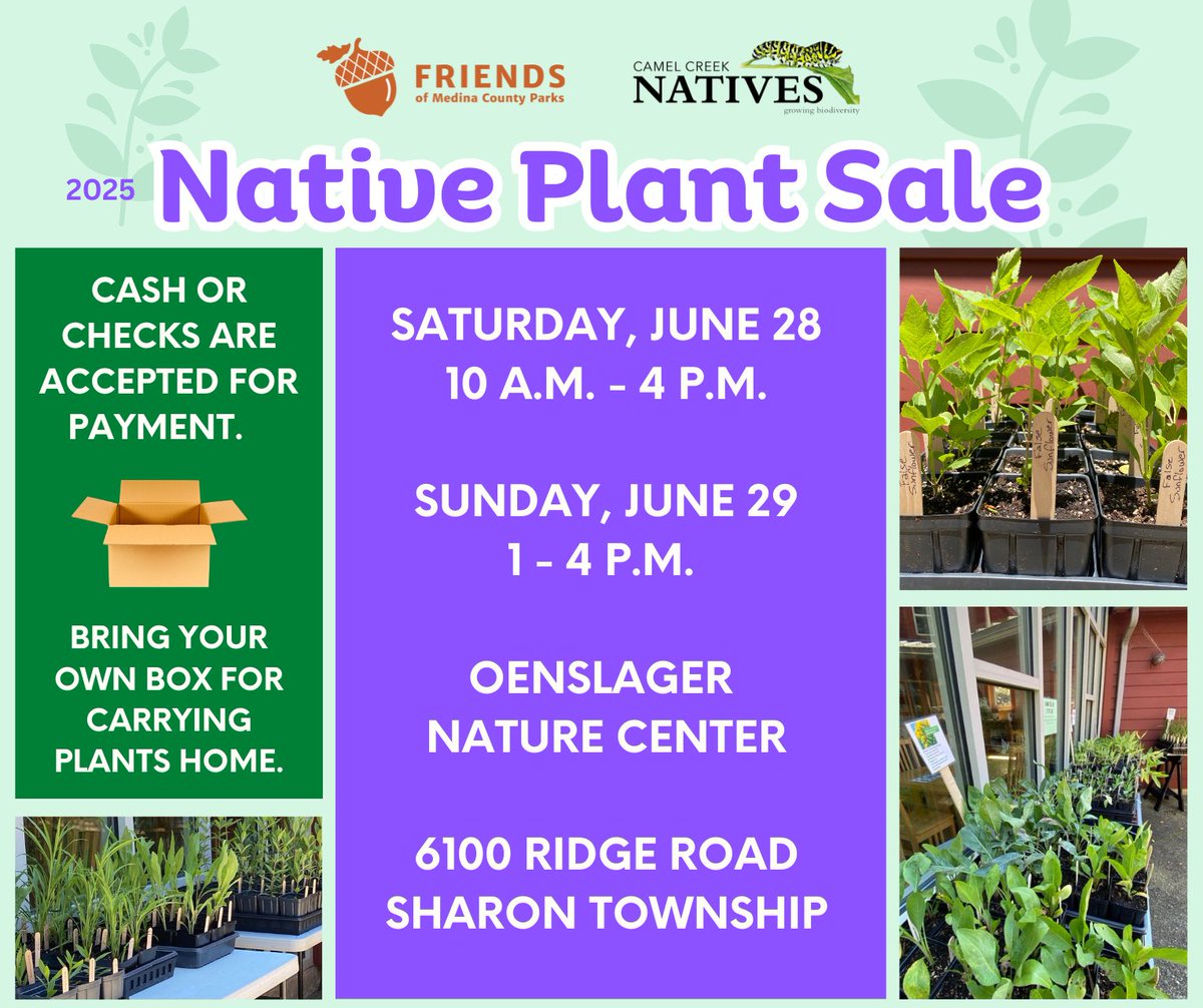 Come out to the Native Plant Sale at Oenslager Nature Center on Saturday, June 28 from 10 a.m. to 4 p.m. and Sunday, June 29 from 1 to 4 p.m. This is a great opportunity for you to purchase fabulous native plants for your landscaping that will help promote biodiversity.