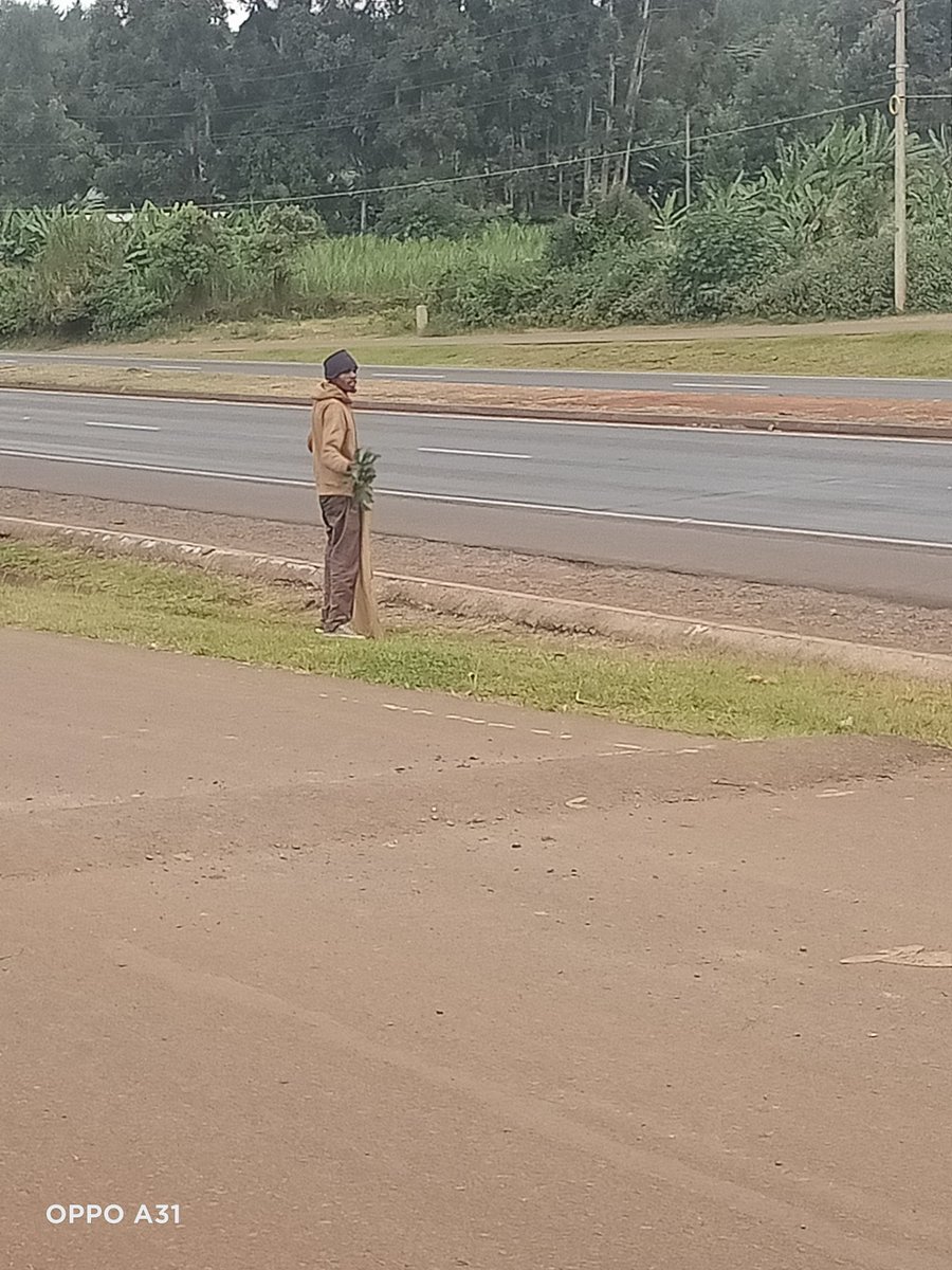 EshnyD's tweet photo. Lone protestor at Mombasa Road hapa thogoto Kikuyu
Waiyaki Way people make him trade like these others #SiriNiNumbers
Alsops
Central Police station 
Statehouse 
 Kiambu and Parliament Road 
Beautiful scenes https://t.co/d1QIQiVaLT