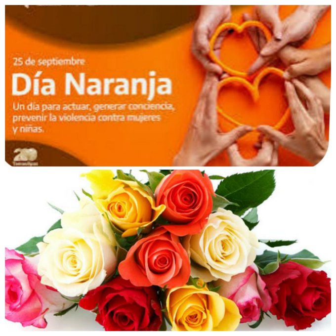 #DíaNaranja Hoy como cada día generando conciencia para prevenir  la violencia contra mujeres y niñas, digamos #NoALaViolencia #CubaPorLaPaz 
#FinanzasyPrecios