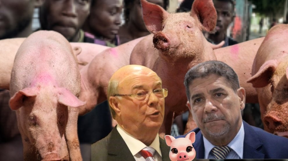 Edwarda77427936's tweet photo. RD🇩🇴, #Epidemia de fiebre africana en cerdos 🐖. Y limbert cruz el protegido de hipolito mas perdido que el hijo de limbert..  #atención #precaución #cuidando ☢️🐖☣️🐽❌️🐷 puercos https://t.co/Z4KeOyLnvm