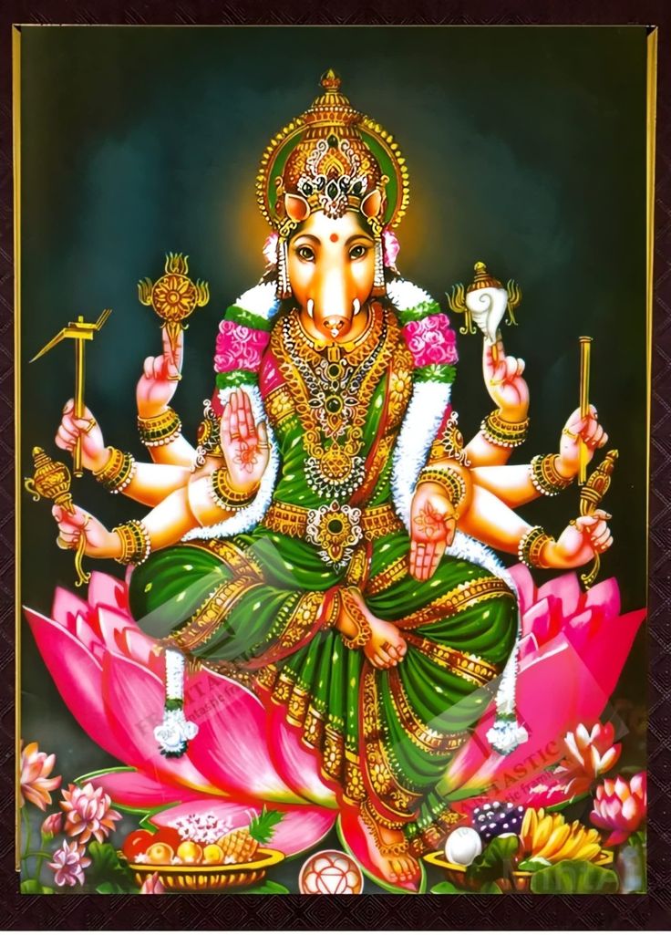 Splendid_Tiger's tweet photo. Bhagavati ✨ https://t.co/HrkjneW0U3