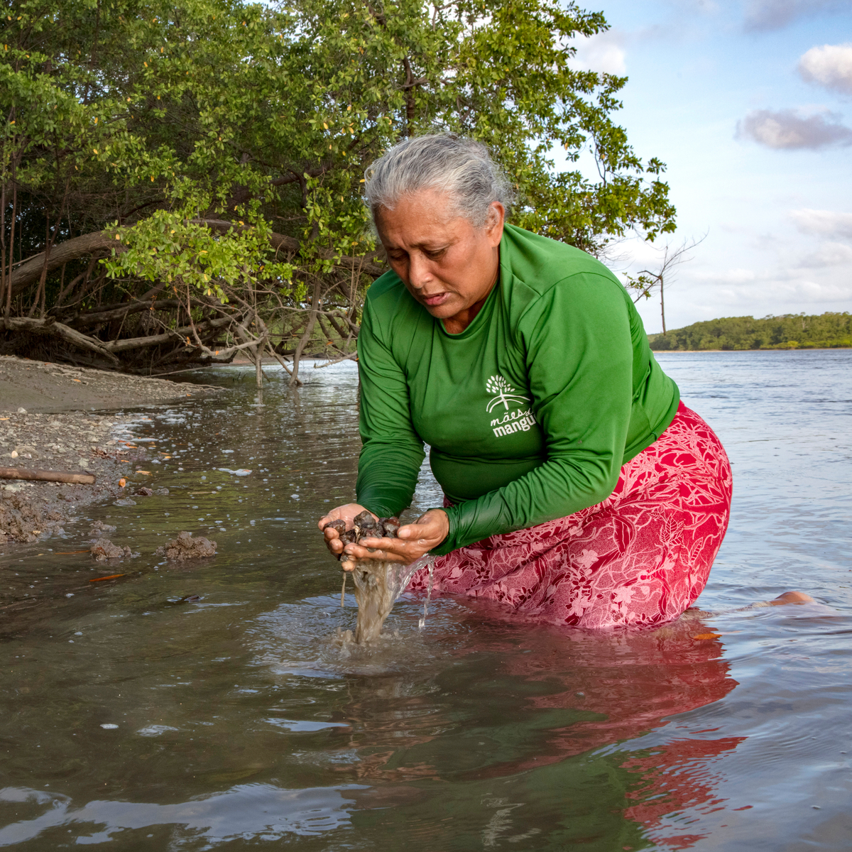 Rosa dos Reis Albuquerque is from the Areião community in Brazil's Pará state. She is also a #MotherOfTheMangrove, a network of women leaders protecting vital mangrove ecosystems. Meet the Mothers  and explore other stories from the coast: bit.ly/4k4I7fo #RareOcean