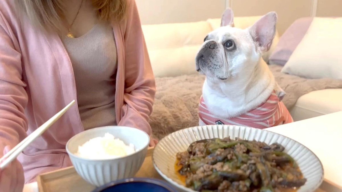 新居にて愛犬との新生活
youtu.be/zFS7EyfaaUY?fe…