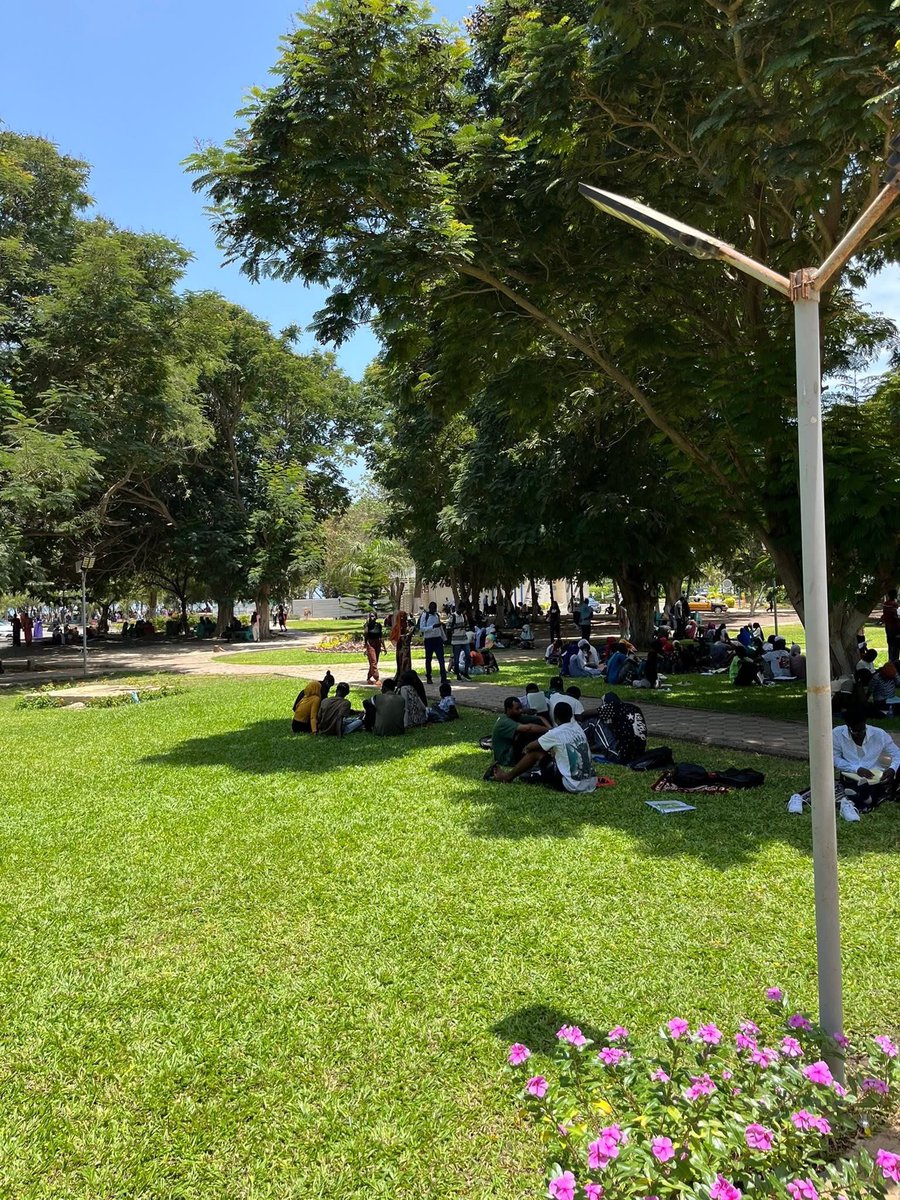 UCAD_Senegal's tweet photo. ☀️ 📖 
25/06/25 
13H
📍#UCAD

#kebetu #compublique #kebetu #comdigitale #ucadvert https://t.co/kRohmATk5O