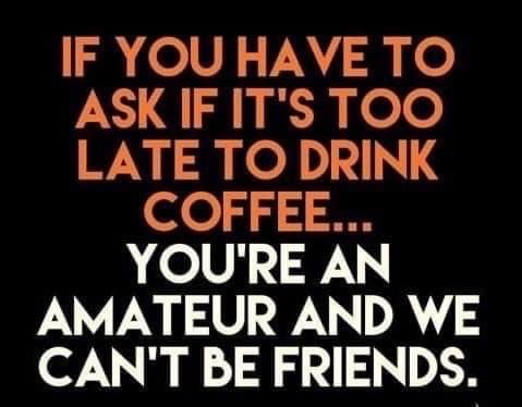 Amateurs☕️☕️☕️