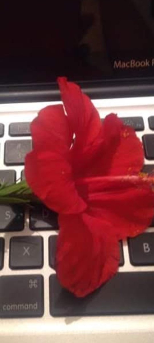 Díganme bueno día... ustedes creen que amanecieron conmigo. 

Buenos días, criaturas que la vida lo trate bonito. 

Los quiero. 
¡Besazos!