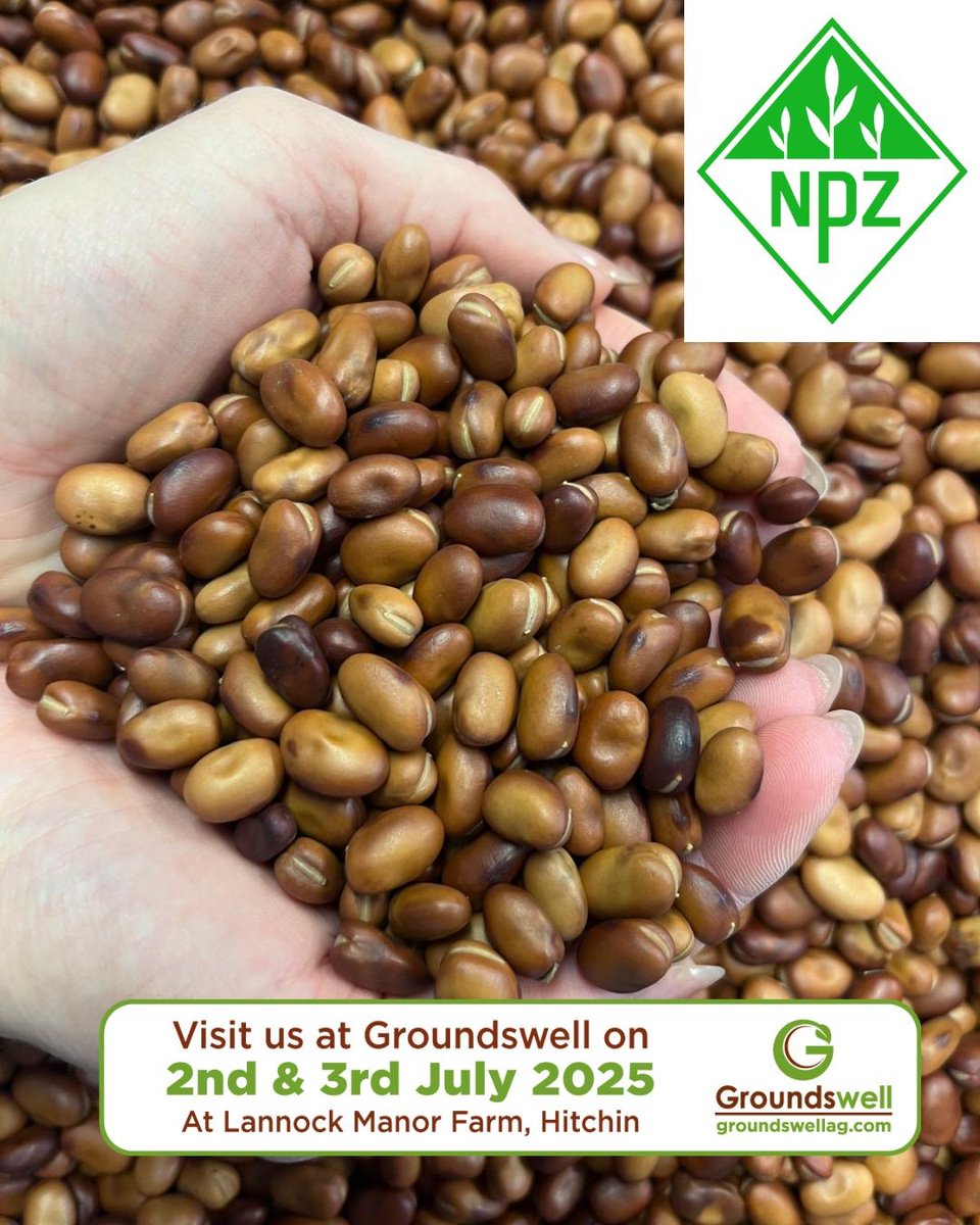🫛  Find us at Groundswell on the 2nd and 3rd of July
🫛  We are stand number PF B27
🫛  We are excited to exhibit at groundswell and are looking forward to all the talks over the two days
#groundswell #groundswell2025 #basisknowledgetrail #npzuk #npz #breedingquality