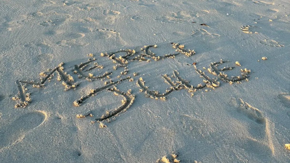 Merci à mes voyageurs de retour du Mexique, le cœur plein ! 🙏
Le Mexique, je l’ai vécu, aimé, exploré… et j’adore le faire découvrir autrement. 
💌Envie d’un voyage authentique et sur mesure ? 
📞Parlons-en !

#travelplanner #Mexique #voyagesurmesure #voyagerautrement