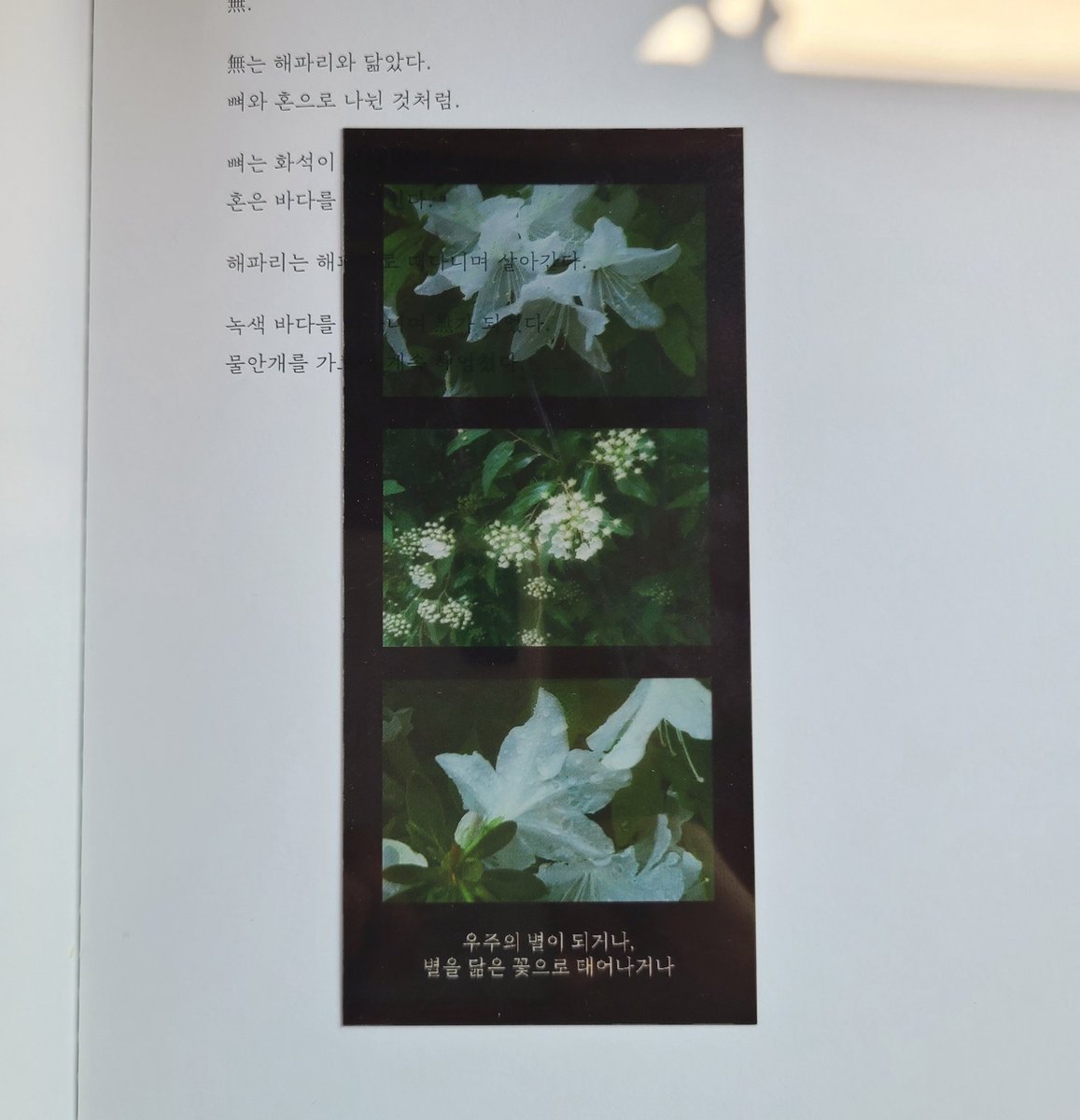 Gihwa_yocho's tweet image. &lt;별 책갈피&gt;
가장 작은 원자에서
우주의 별로 태어나거나,
지구의 별로 태어나는 것.
문장을 가로지르는 별을 간직하세요.
📎(~7/3)
m.blog.naver.com/gihwa_yocho/22…