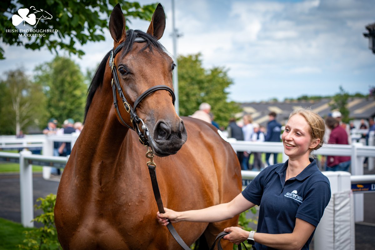 ITM (@irethoroughbred) on Twitter photo It's heating up at <a href="/Tattersalls_ie/">Tattersalls Ireland</a> Derby Sale! ๐ฅ
Lot 1โฃ0โฃ5โฃ from <a href="/NormanW74303774/">Norman Williamson</a> Oak Tree Farm sells to <a href="/HaroldKirk_/">Harold Kirk</a> / <a href="/WillieMullinsNH/">Willie Mullins</a> for โฌ150,000. Impressive filly is from the family of QUEL ESPRIT & ASHROE DIAMOND, both of whom Willie trained to G1 success. ๐ฅ
๐๏ธ 10am It's heating up at <a href="/Tattersalls_ie/">Tattersalls Ireland</a> Derby Sale! ๐ฅ
Lot 1โฃ0โฃ5โฃ from <a href="/NormanW74303774/">Norman Williamson</a> Oak Tree Farm sells to <a href="/HaroldKirk_/">Harold Kirk</a> / <a href="/WillieMullinsNH/">Willie Mullins</a> for โฌ150,000. Impressive filly is from the family of QUEL ESPRIT & ASHROE DIAMOND, both of whom Willie trained to G1 success. ๐ฅ
๐๏ธ 10am