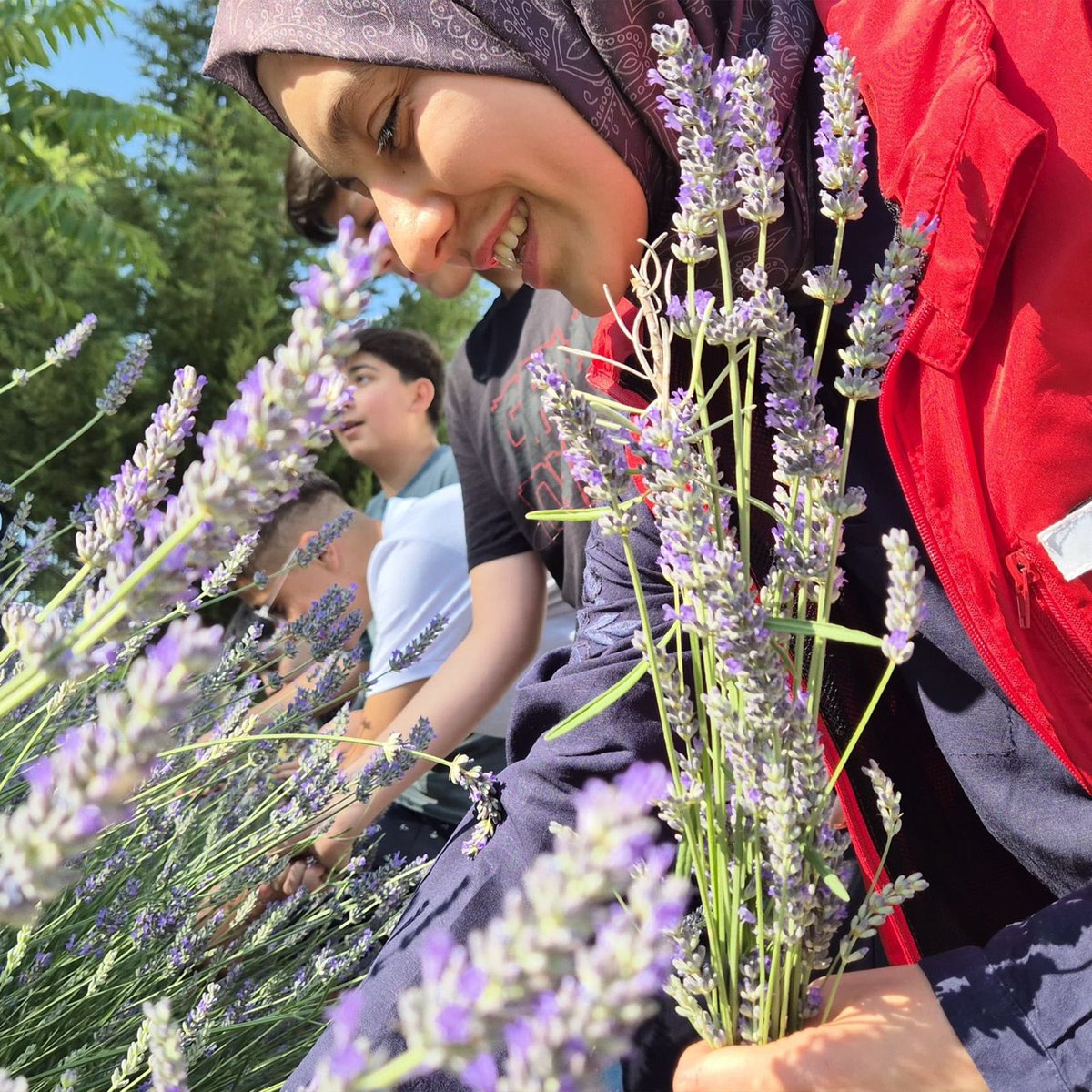 Ülkemizin dört bir yanında gençlerimiz, #GönüllüHasatEtkinliği ile toprağa değer katıyor. 🇹🇷🌾

Dayanışma, yardımlaşma ve kardeşlik ruhuyla; birlik, beraberlik ve iyilik bağları güçleniyor… 🧑‍🌾👩‍🌾