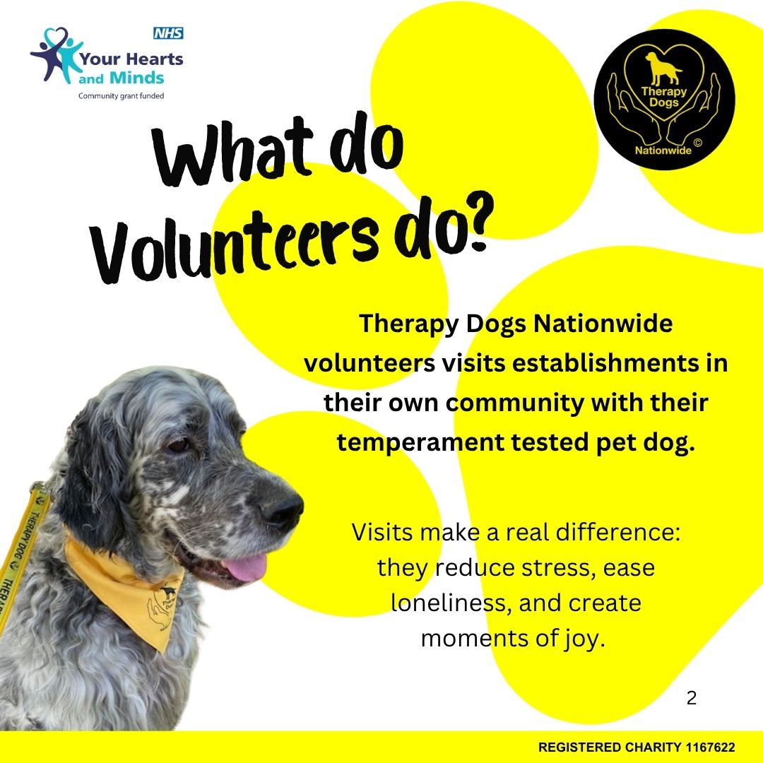 Your Hearts and Minds (@yourheartsminds) on Twitter photo We are working in partnership with <a href="/TherapyDogsUK/">Therapy Dogs</a> through our #communitygrant programme to expand its #volunteer base <a href="/rdash_nhs/">RDaSH NHS FT</a> Do you have a dog with the right temperament, and are you interested in volunteering your time? Please email enquiries@tdn.org.uk. We are working in partnership with <a href="/TherapyDogsUK/">Therapy Dogs</a> through our #communitygrant programme to expand its #volunteer base <a href="/rdash_nhs/">RDaSH NHS FT</a> Do you have a dog with the right temperament, and are you interested in volunteering your time? Please email enquiries@tdn.org.uk.