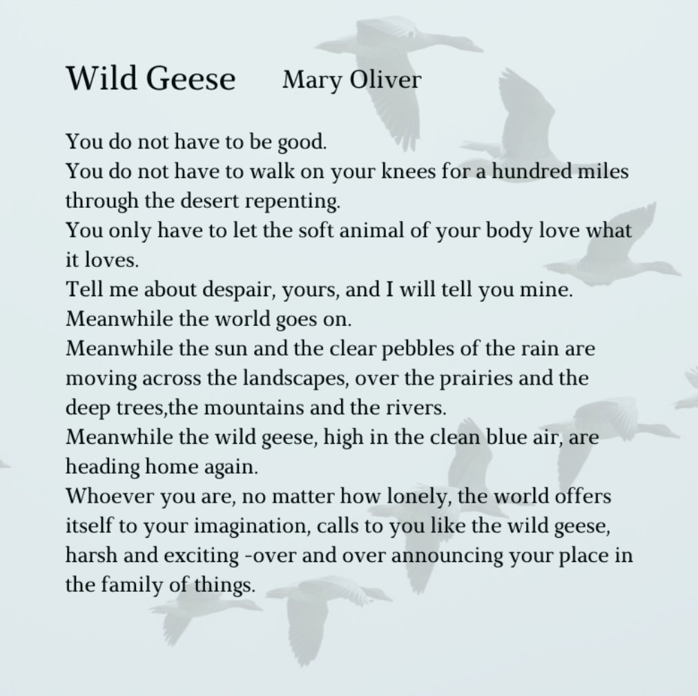 I just introduced my 17 yo daughter to this much-loved poem. 
If you beat yourself up mentally though you don’t hurt others, if your brain is different so your thoughts are loud and tangled, if you’re conscientious but still very strict with yourself, then it’s also for you: