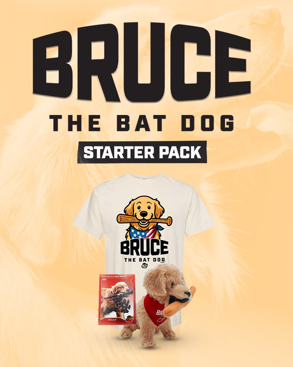 Just dropped‼️ The Bruce the Bat Dog Starter Pack 🐾 Get the bundle now and save 10% — 
T-shirt, plush, and autographed card included!